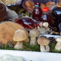 Zobacz w powiększeniu: Nadwieprzańskie spotkanie z historią, tradycją i religią „Chabry z poligonu” 2021 r. (43)